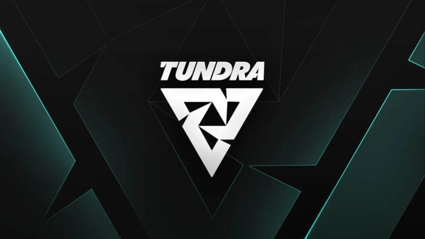 Чемпионы DreamLeague по Dota 2 из Tundra раскрыли секреты триумфа​